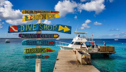 Buddy Dive Dock