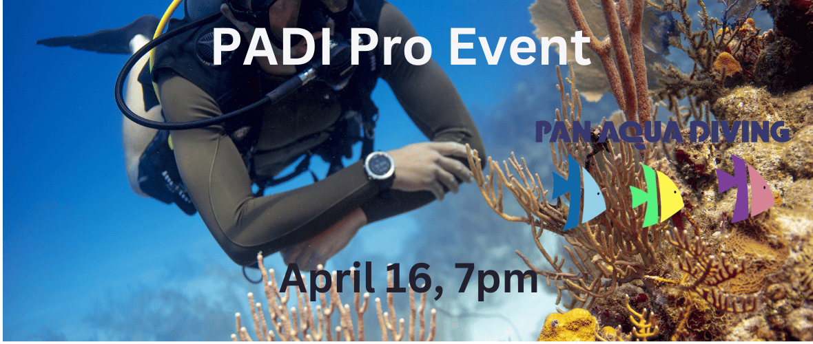 Pro Night 2025
